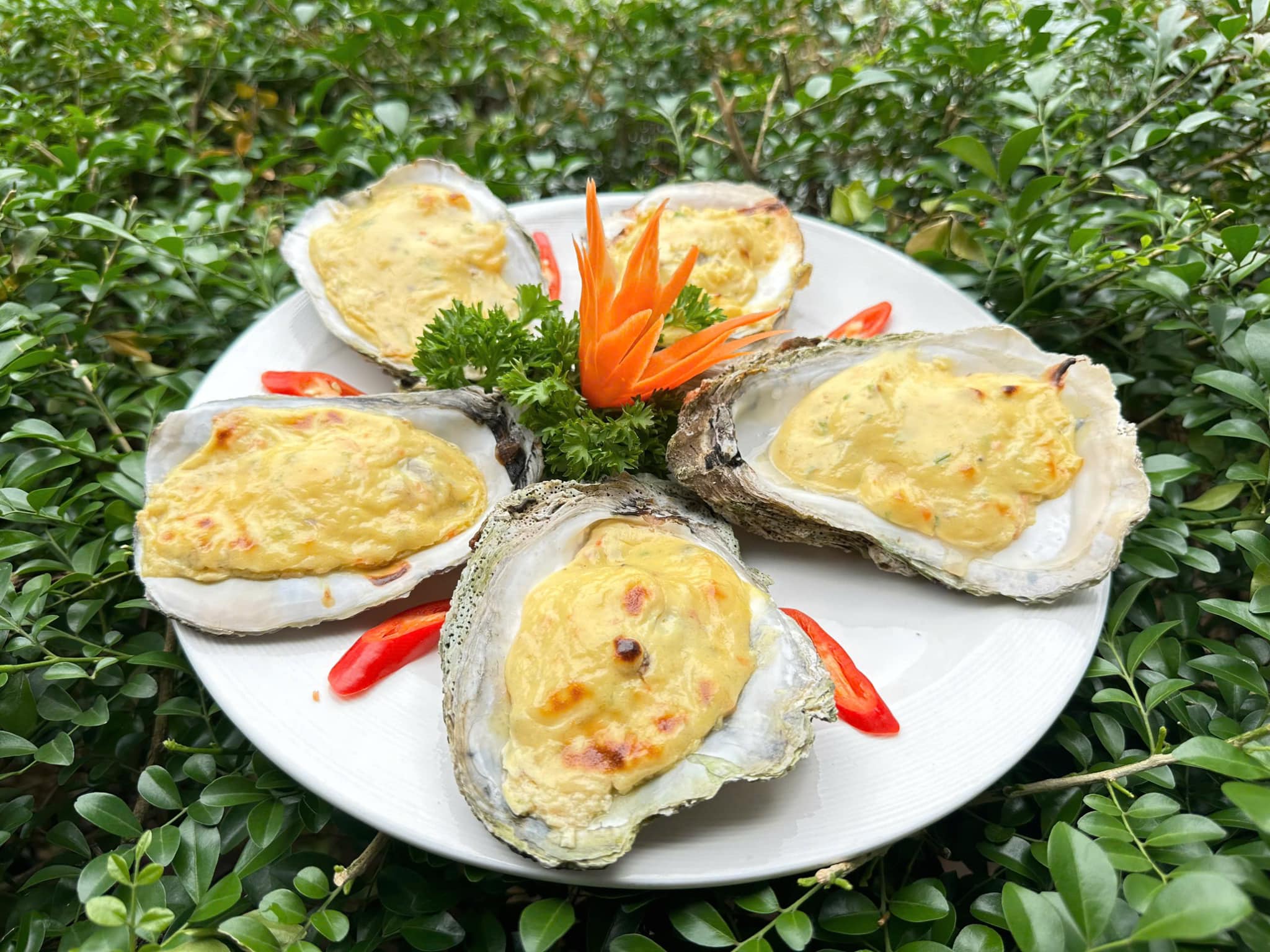 Hàu Nướng Phô Mai