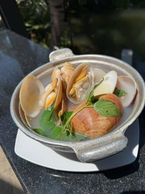 Ngao 2  Còi Hấp Sả